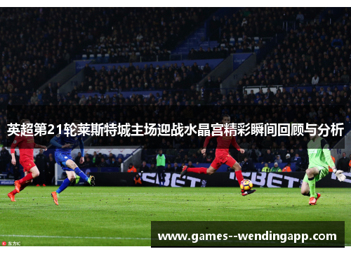 英超第21轮莱斯特城主场迎战水晶宫精彩瞬间回顾与分析