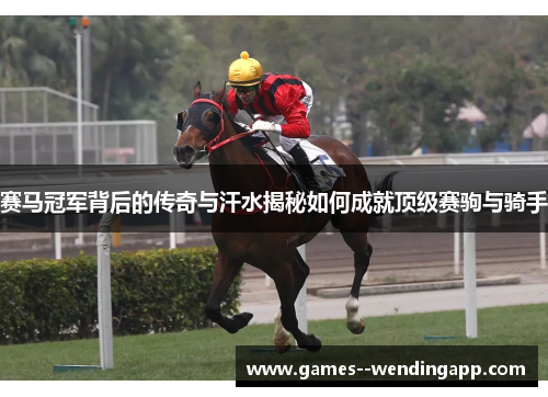 赛马冠军背后的传奇与汗水揭秘如何成就顶级赛驹与骑手 赛马冠军背后的传奇与汗水揭秘如何成就顶级赛驹与骑手