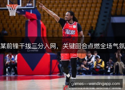 某前锋干拔三分入网，关键回合点燃全场气氛